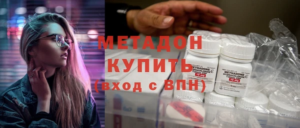 стаф Алзамай