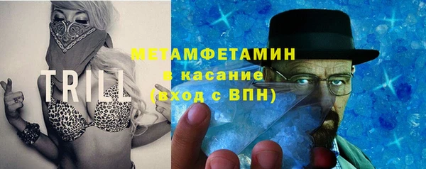 гидра Арсеньев