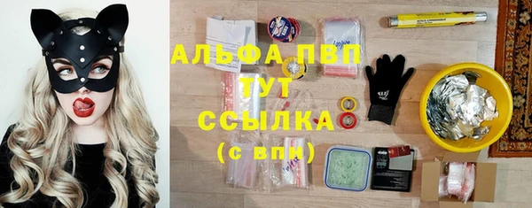 гидра Арсеньев